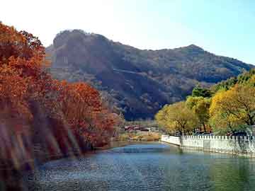 新澳天天开奖资料大全旅游团，黄花梨木价格